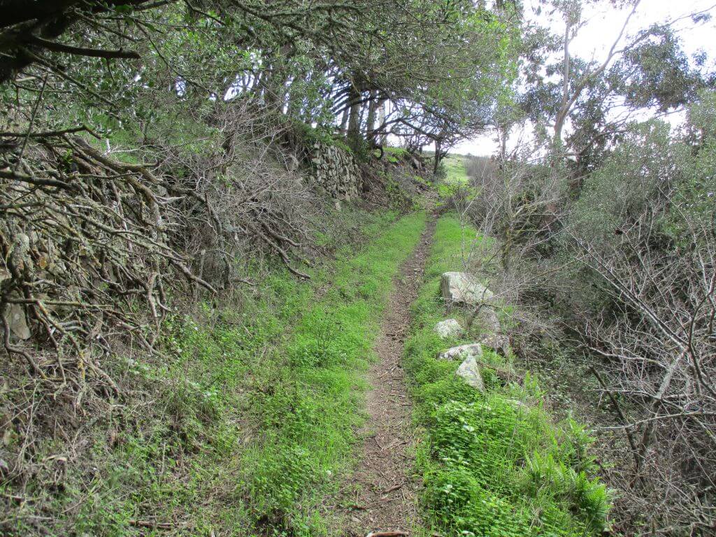 Caminhando do Guincho à Grota 3
